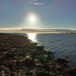 (IN SITU) THE RAISING OF LAZARUS